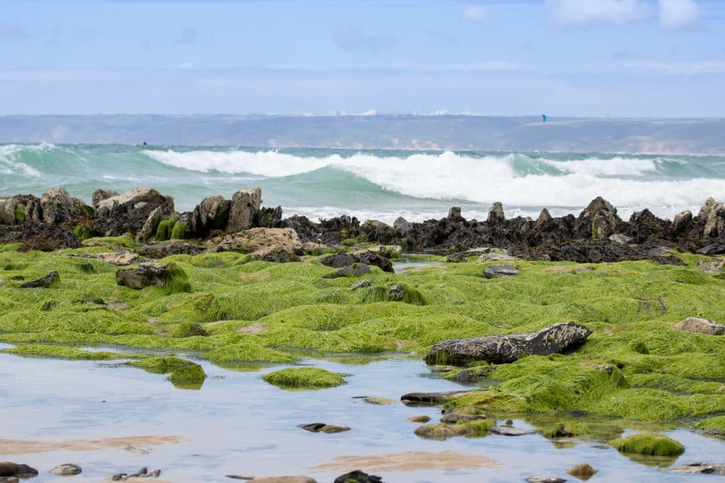 Camping Octeville sur mer