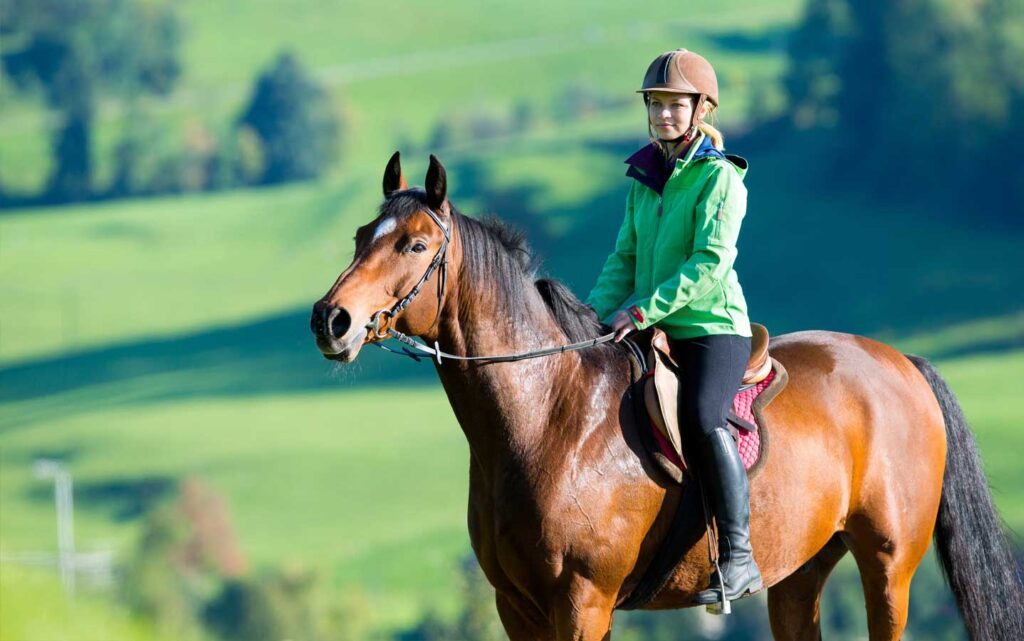 Equitation en Normandie, au Domaine Equestre d'Etretat